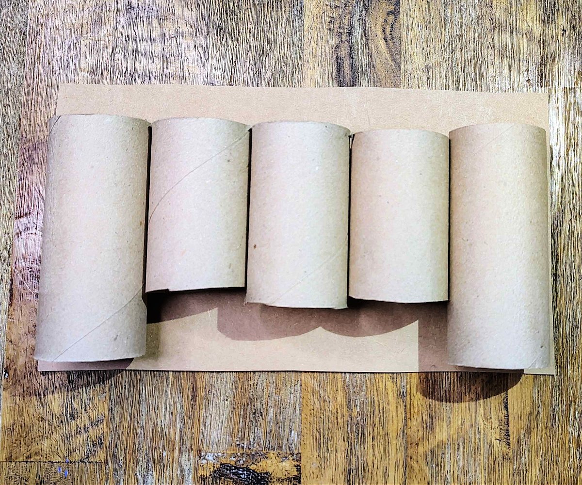 Toilet Paper Roll Craft- Step 1 - Cut out your cardboard and cut down toilet paper tubes- Kids Activities Blog