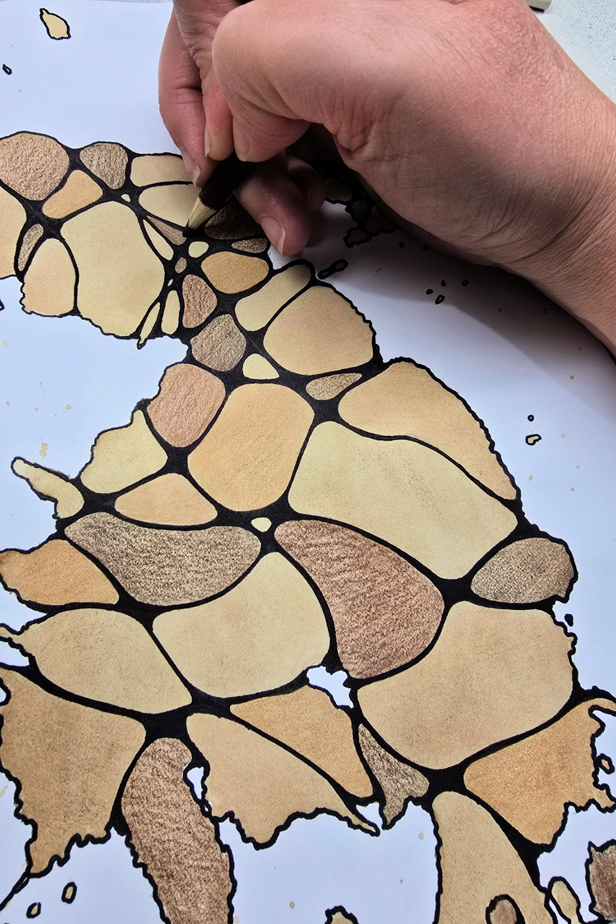 step 6 - using various shades of brown colored pencils to color different sections within the project - kids activities blog